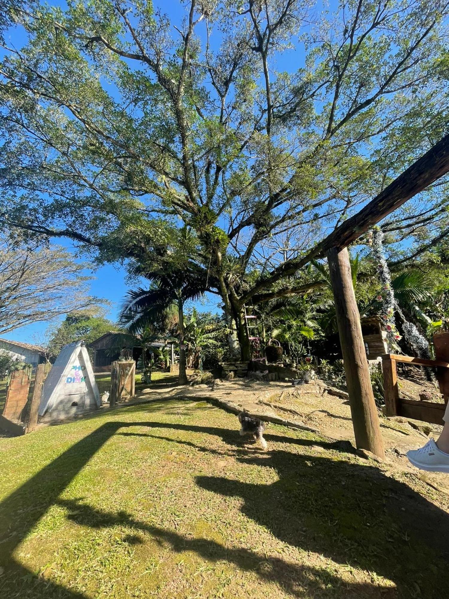 Chalet Chale Em Sitio Pe Do Morro *